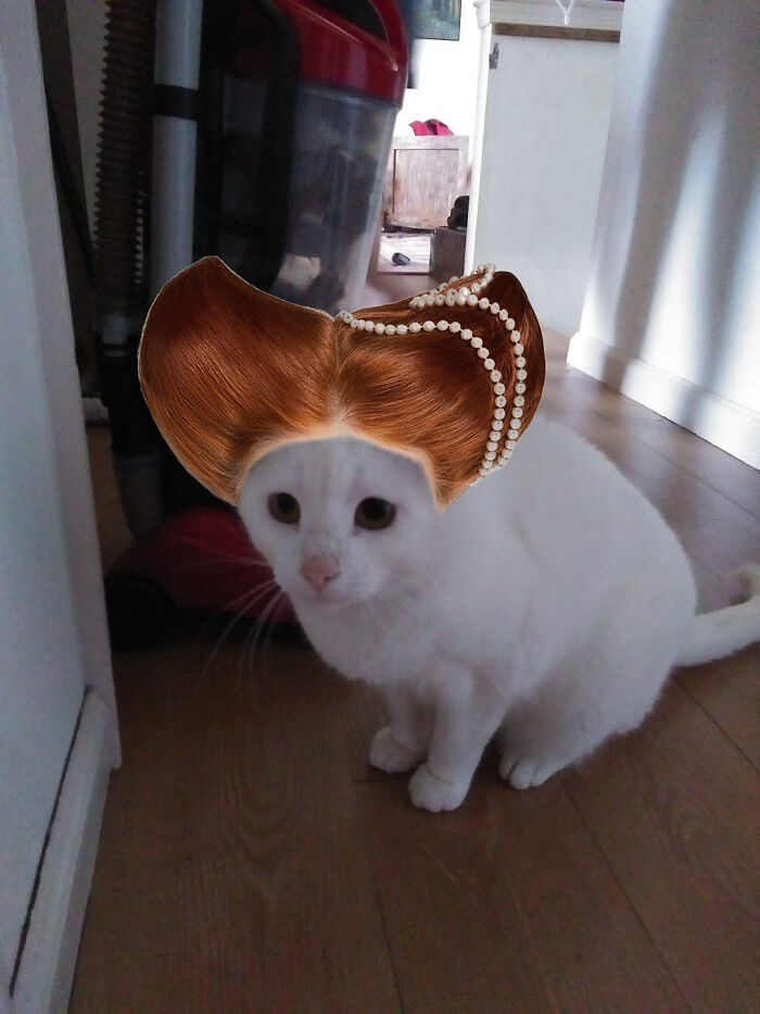 I Was Having Fun With The Hair Filters. I Think Peewee Looks Amazing