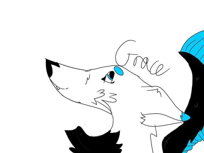 Here’s My Wolf I’ve Drawn Other But They’re Packed Away This Ones Not My Best