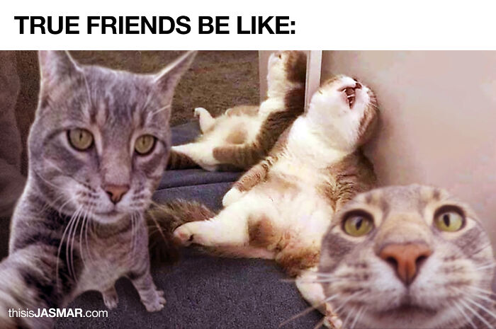 True Friends Be Like: