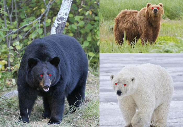 When Dey(They) See You Got Food