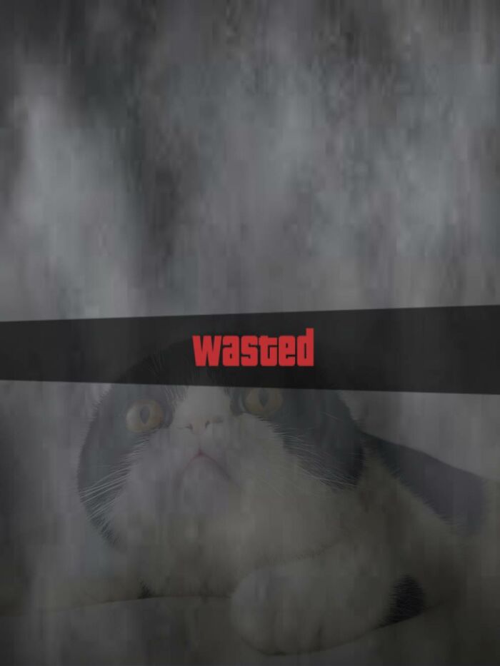 Wasted