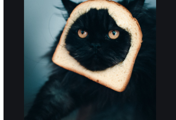 Hey Pandas, Post The Funniest Pic Of Your Pet!