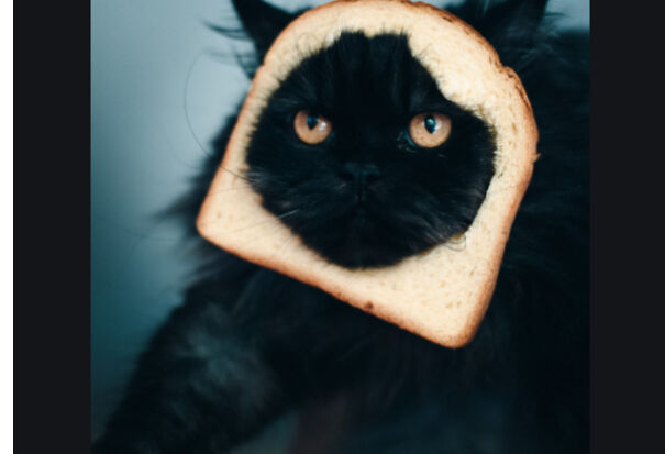 This Is A Willy Loaf!