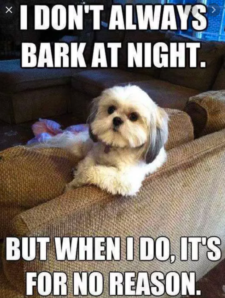 Hey Panda’s, Best Drawing Will Win Upvotes For A Month!