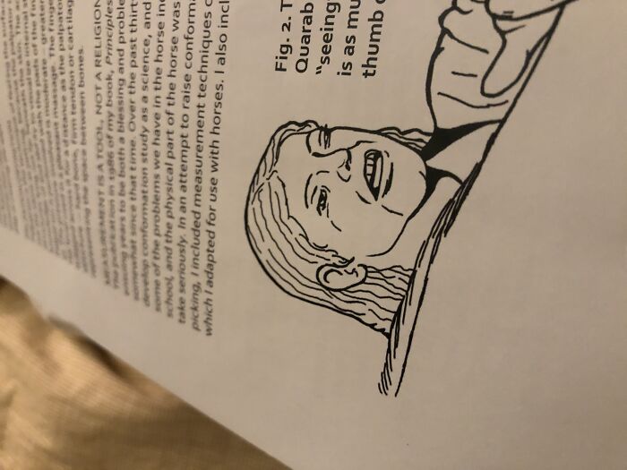 In A Horse Comformation Book