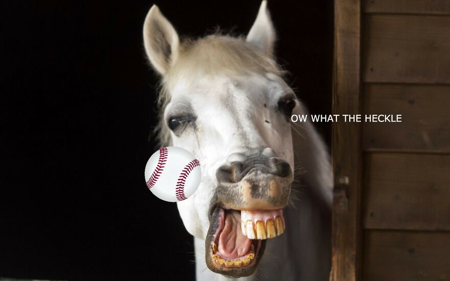 Ow What The Heck Man