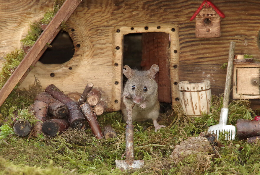 I Built A Fantasy-Inspired Home For The Wild Mice That Live In My Garden I Built A Fantasy-Inspired Home For The Wild Mice That Live In My Garden