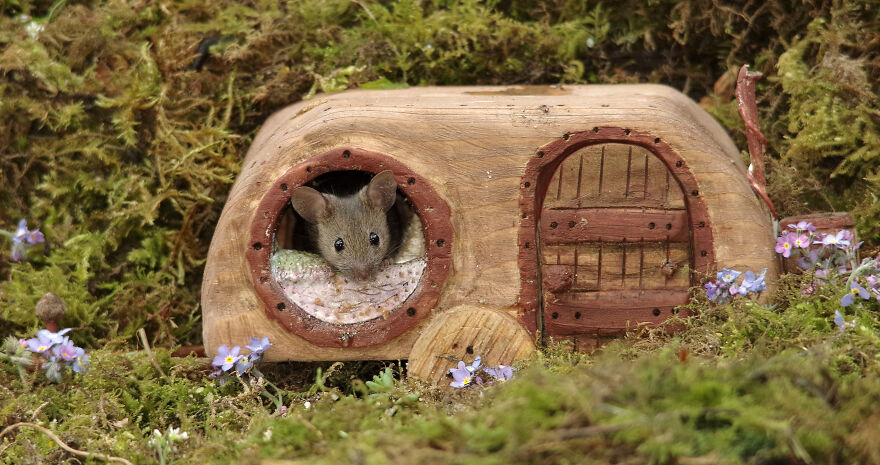 I Built A Fantasy-Inspired Home For The Wild Mice That Live In My Garden I Built A Fantasy-Inspired Home For The Wild Mice That Live In My Garden