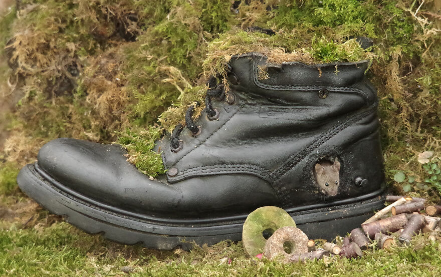 I Built A Fantasy-Inspired Home For The Wild Mice That Live In My Garden I Built A Fantasy-Inspired Home For The Wild Mice That Live In My Garden