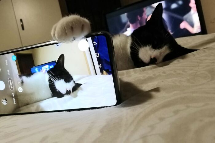 Selfie Mode Activated