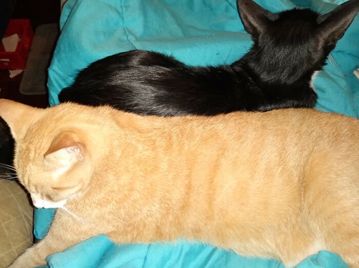 Anakin And Darth... Yin And Yang