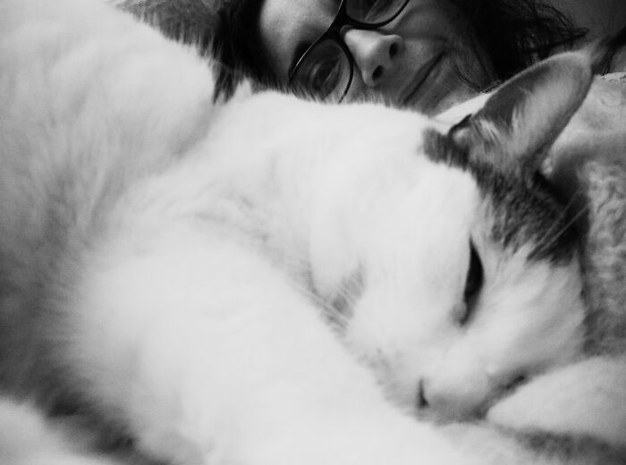 Totoro Chillin' With Mama