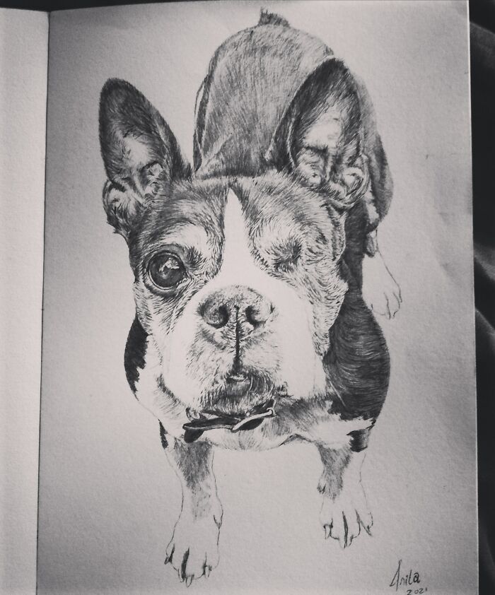 My Little Cyclops, Mala