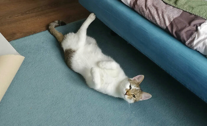 From Posing To Face - I Love It