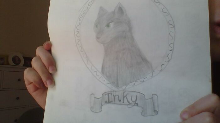 Not Actually My Pet, But She Comes To My Backyard For Food :)