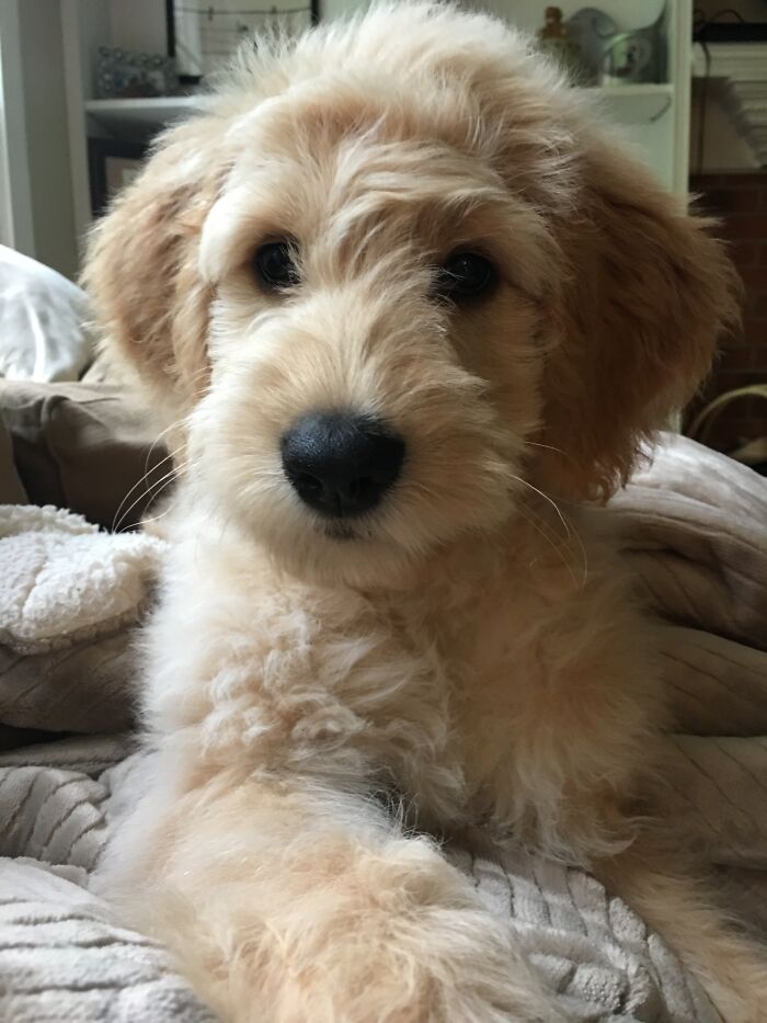 Bed Hair... Don't Care