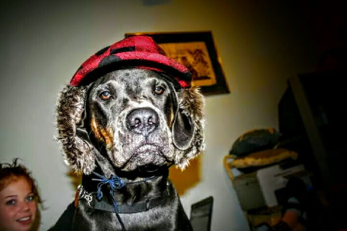 Over 200 Pictures To Get This Gem. Achilles Says "Get Off My Lawn"