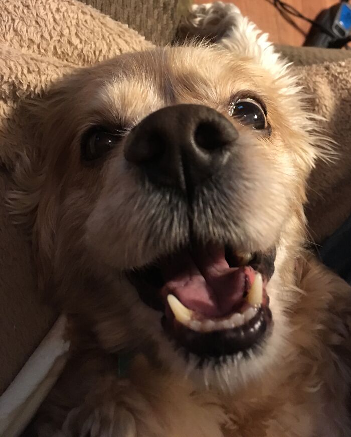 Jessie Is A Happy Girl!