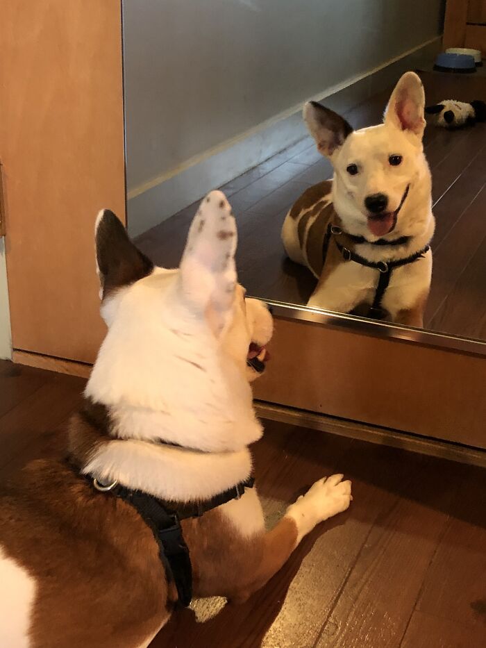 I'm Good Enough, I'm Smart Enough, And Doggone It, People Like Me.