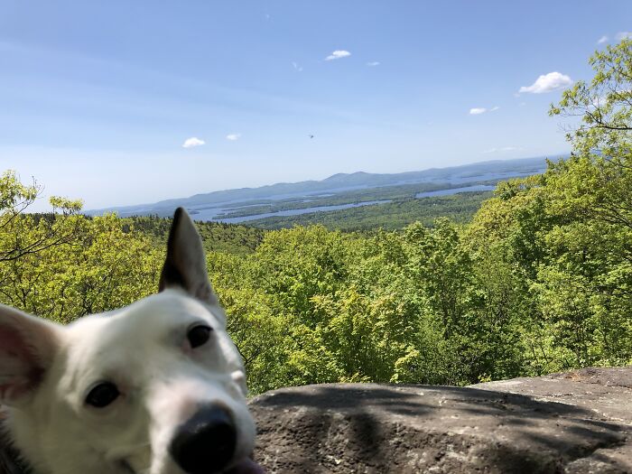 Hiking? Easy. Taking Selfies? Not So Much.