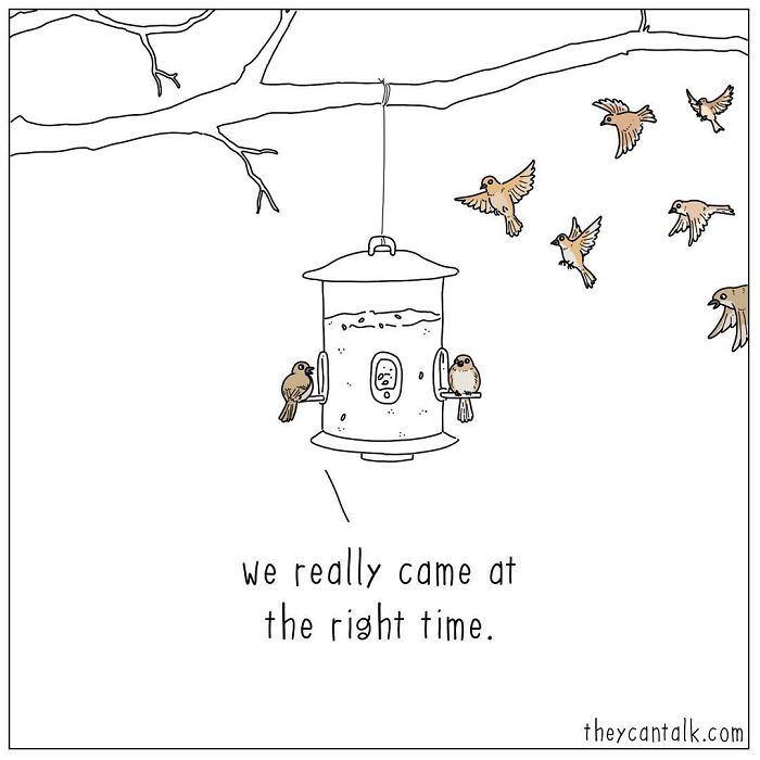 If Animals Could Talk (Part 4)