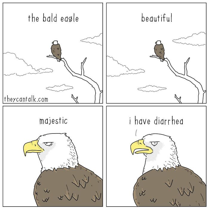 If Animals Could Talk (Part 4)