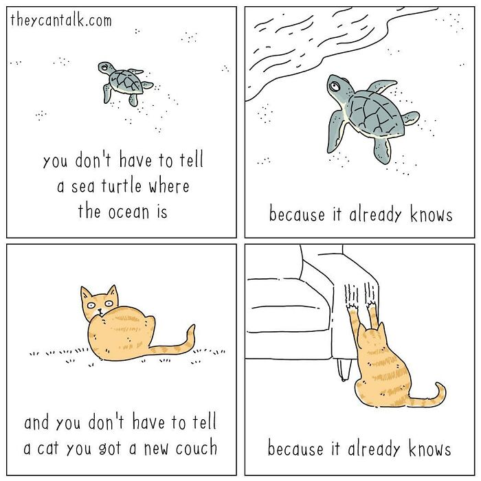 If Animals Could Talk (Part 4)