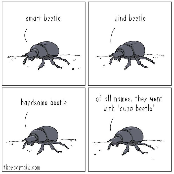 If Animals Could Talk (Part 4)