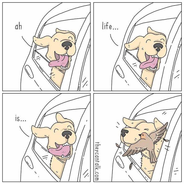 If Animals Could Talk (Part 4)