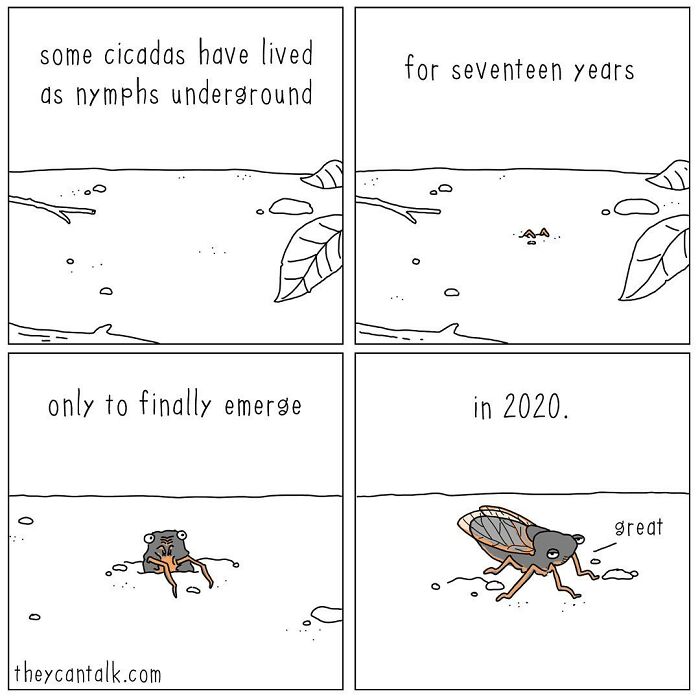 If Animals Could Talk (Part 4)