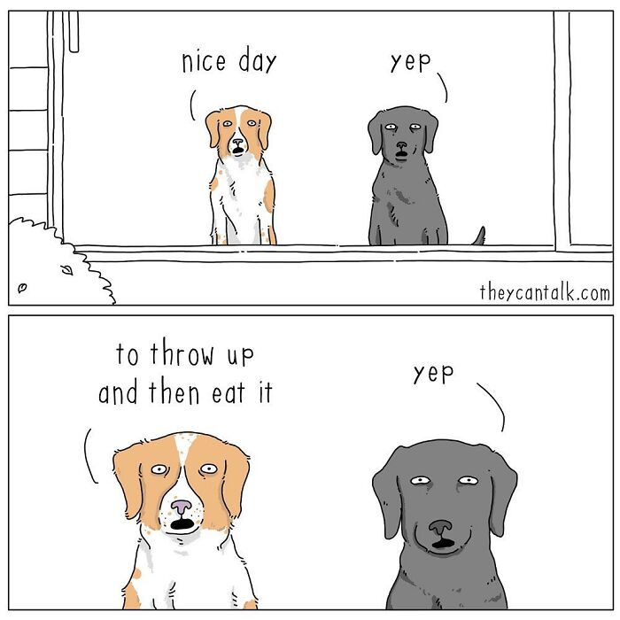 If Animals Could Talk (Part 4)