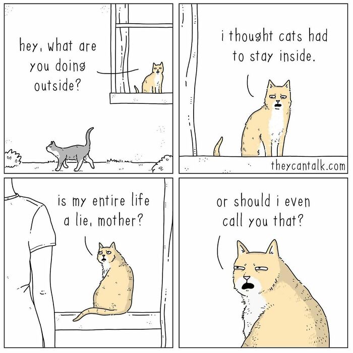 If Animals Could Talk (Part 4)