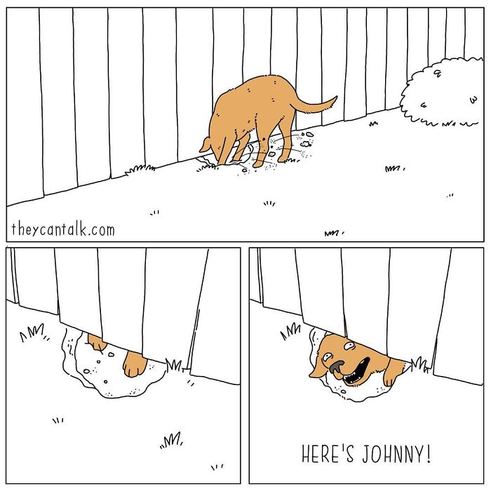 If Animals Could Talk (Part 4)