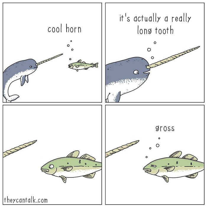 If Animals Could Talk (Part 4)