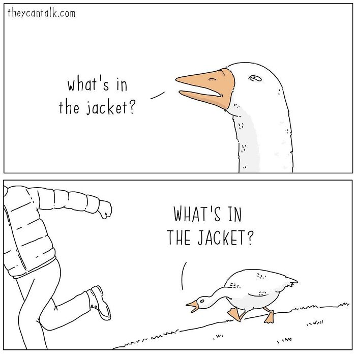 If Animals Could Talk (Part 4)