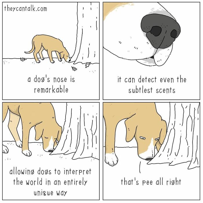 If Animals Could Talk (Part 4)