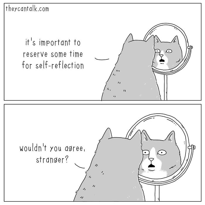 If Animals Could Talk (Part 4)