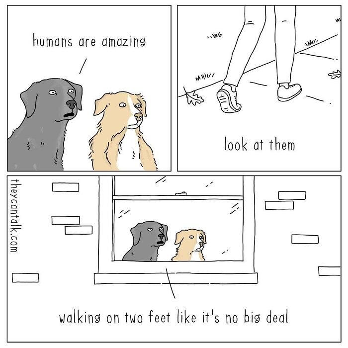 If Animals Could Talk (Part 4)