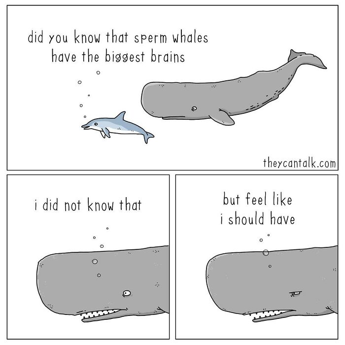 If Animals Could Talk (Part 4)