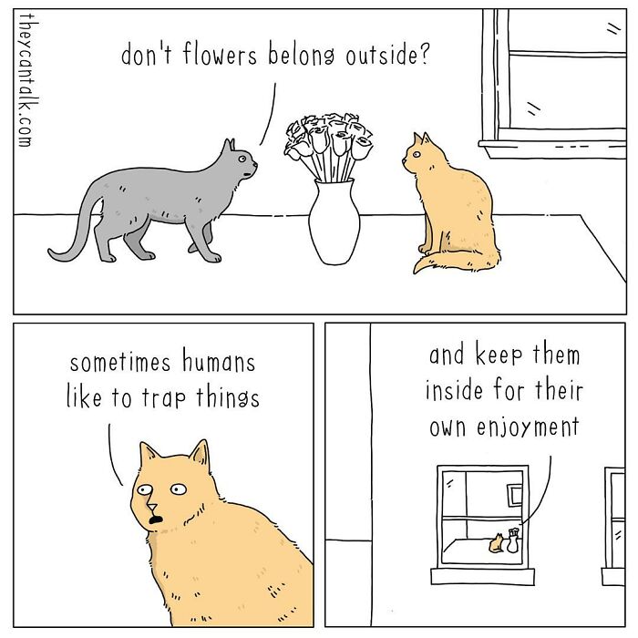 If Animals Could Talk (Part 4)