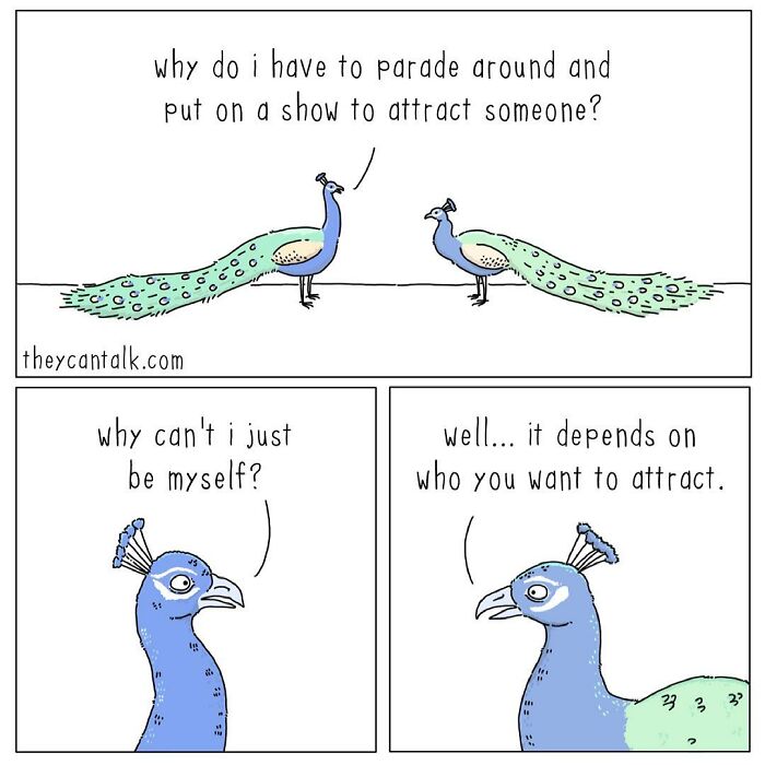 If Animals Could Talk (Part 4)