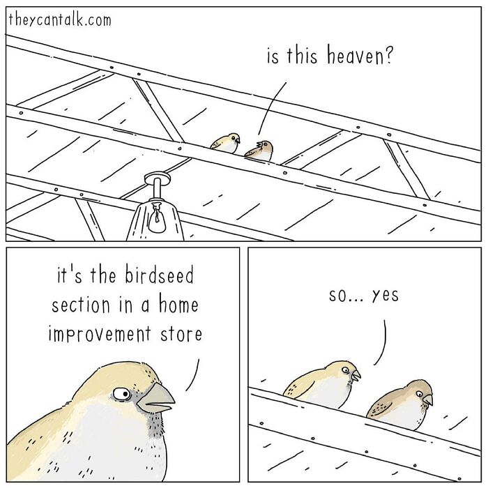 If Animals Could Talk (Part 4)