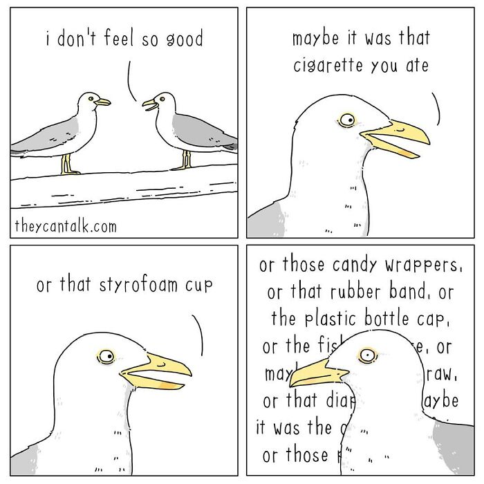 If Animals Could Talk (Part 4)