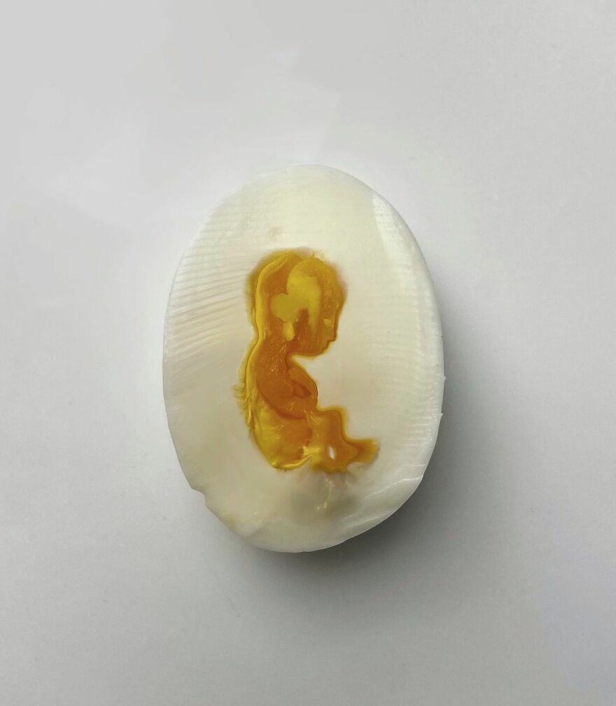 Italian Artist Expresses Himself Through His Your Art