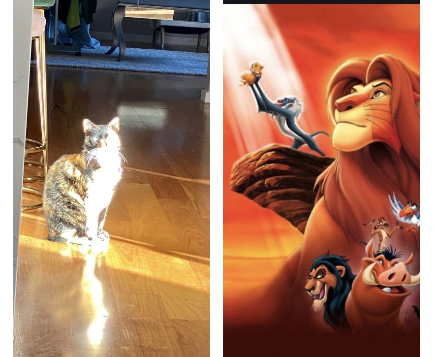 Lockdown With Nothing But Time On Your Hands To....