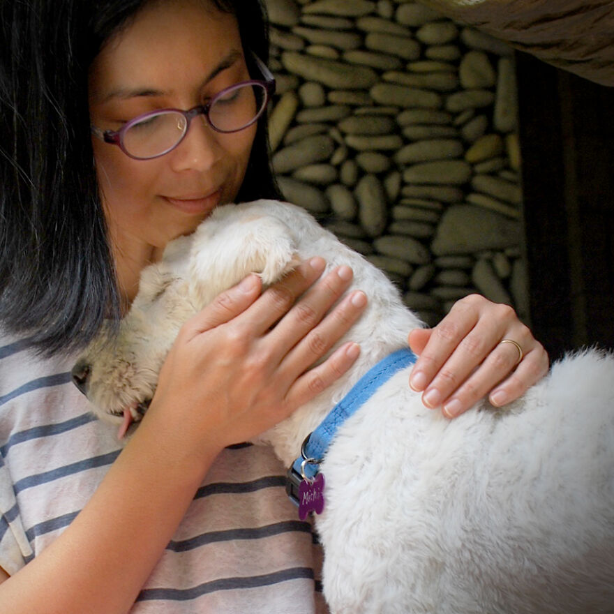 We Rescued A Dog With A Hole In Her Head, Treated Her, And Found Her A Loving Home We Rescued A Dog With A Hole In Her Head, Treated Her, And Found Her A Loving Home