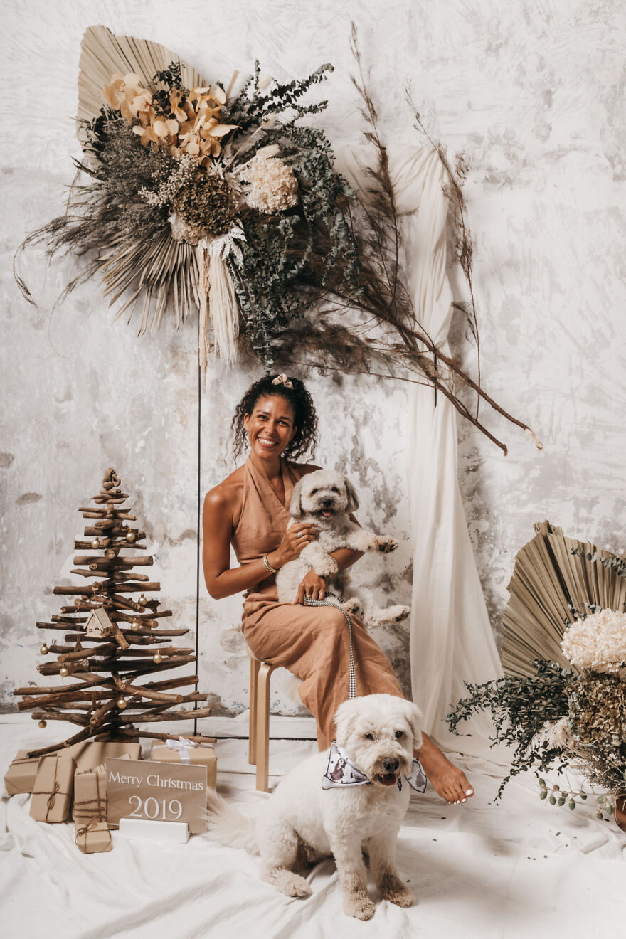 We Rescued A Dog With A Hole In Her Head, Treated Her, And Found Her A Loving Home We Rescued A Dog With A Hole In Her Head, Treated Her, And Found Her A Loving Home