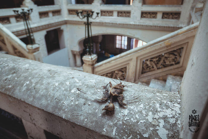 I Entered An Abandoned Food Chemistry Institute Illegally To Take Pictures (30 Pisc)