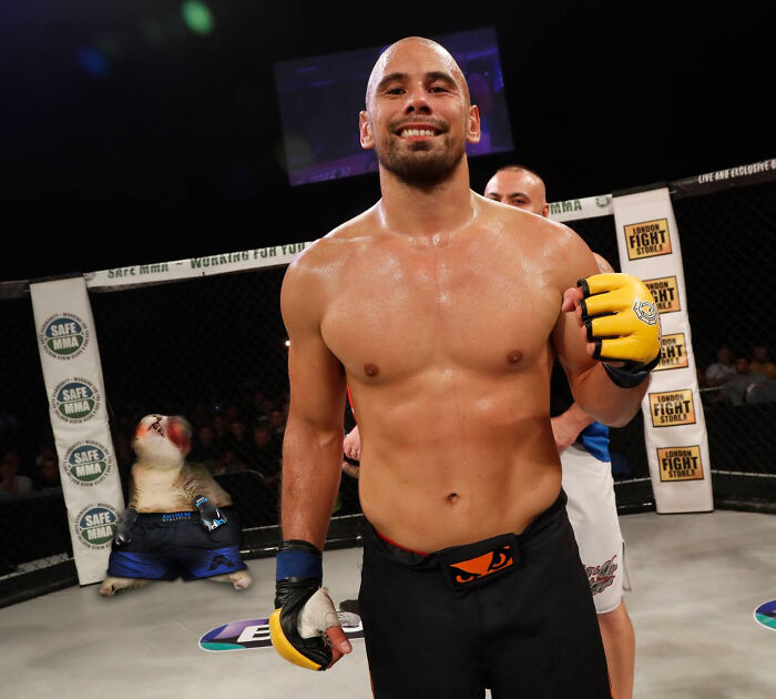 Not Much Of A Cat Fight