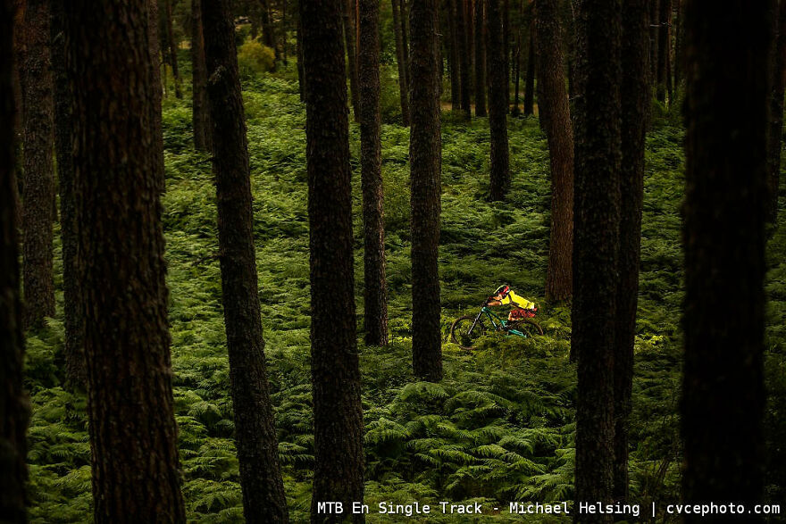 Mtb En Single Track - Michael Helsing